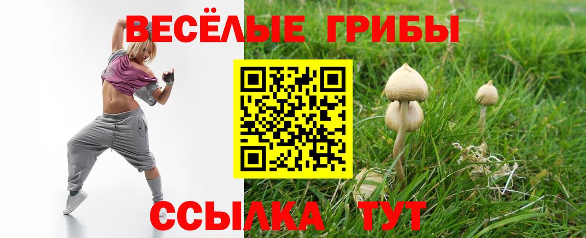 Междуреченск  Псилоцибиновые грибы GOLDEN TEACHER  Вход с VPN 